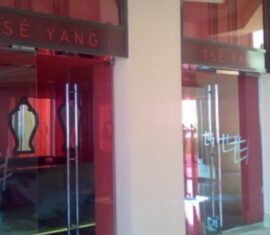 TSE YANG RESTURANT, PEARL QATER , QATER